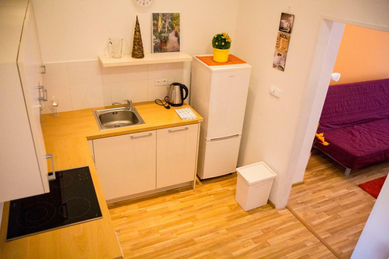 Lidicka Apartment Прага Экстерьер фото
